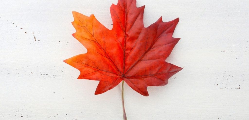 Study in Canada