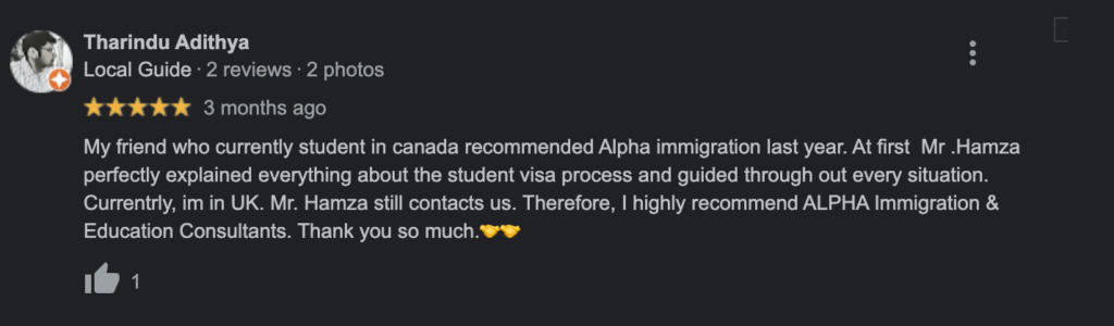 Alpha Review 8